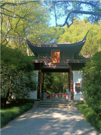 2025年9月27日中日学者虎跑溯源：藤原江文教授考察徐悲鸿与弘一法师艺术渊源